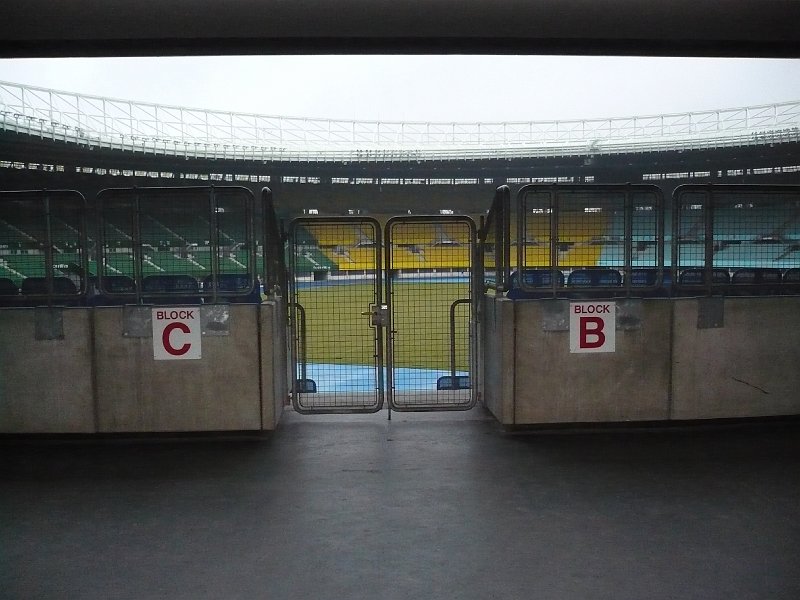 P1020008.JPG